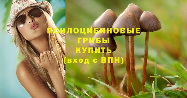 эйфоретик Балахна