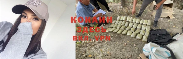 эйфоретик Балахна